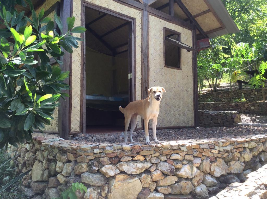 Busuanga Backpackers Vandrerhjem Concepcion  Rom bilde
