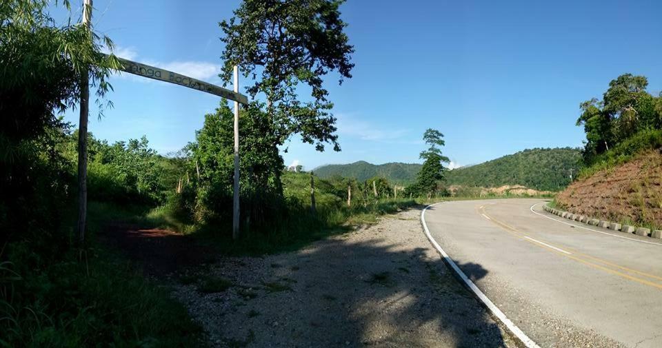 Busuanga Backpackers Vandrerhjem Concepcion  Eksteriør bilde