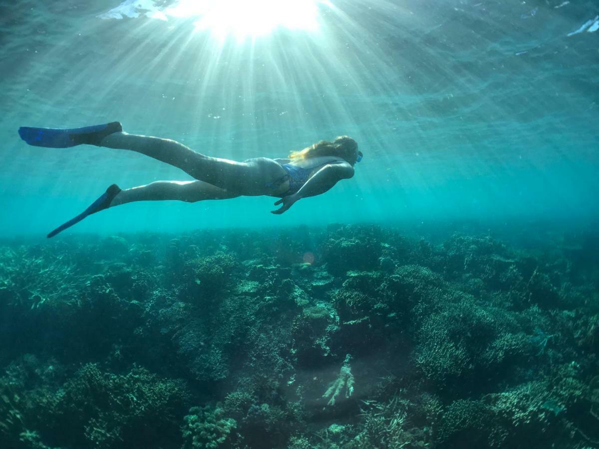 Busuanga Backpackers Vandrerhjem Concepcion  Eksteriør bilde