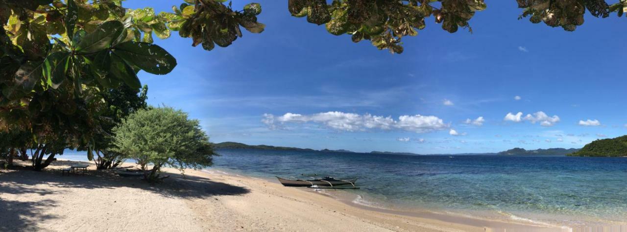 Busuanga Backpackers Vandrerhjem Concepcion  Eksteriør bilde